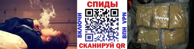 мориарти Telegram Североуральск Бутират буратино