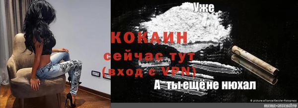 МДПВ Алексин